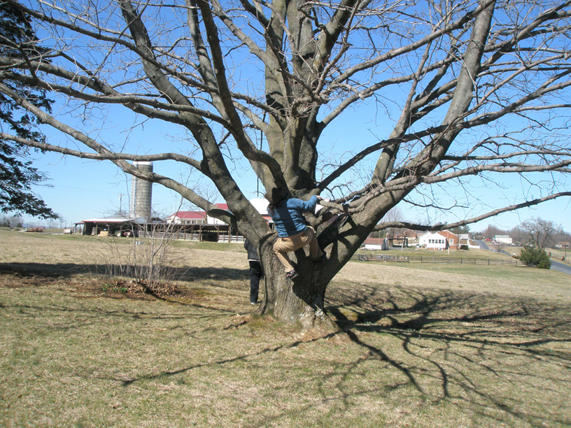 P3090473