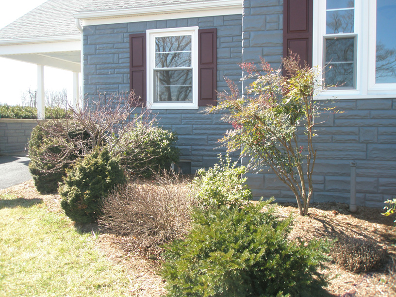 P3090478